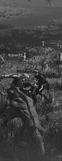 AUTO COMBAT
